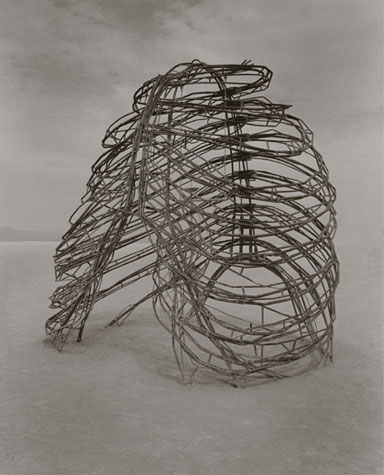 A. Leo Nash: "Ribcage", Giclee' print with UltraChrome archival ink, 19x24cm, 2000, edition 25