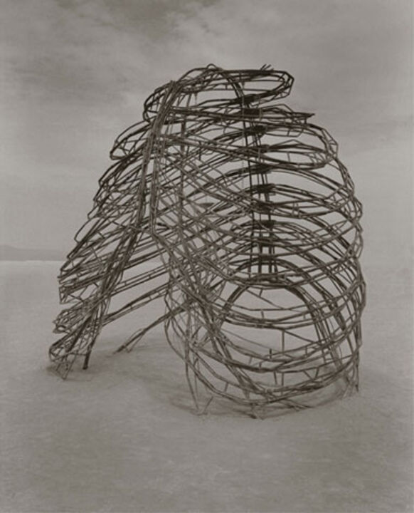 A. Leo Nash: "Ribcage", Gicléedruck mit UltraChrome Archivtinte, 19x24cm, 2000, Auflage 25