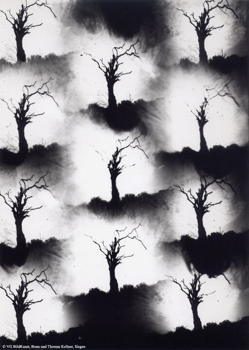 Thomas Kellner: Dying Nature No. 6, 1994, BW-Print, 16,4 x 23,5 cm / 6,4" x 9,2", edition 10+3