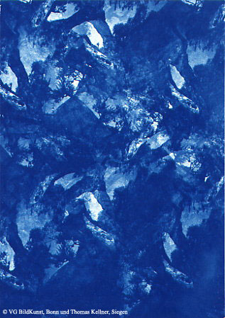 Thomas Kellner: Les oliviers de Eygalierès XII, 1997, Cyanotype, 16,4x23,5 cm/6,4"x9,2", edition 10+3