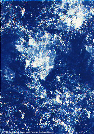 Thomas Kellner: Pinetrees 01, 1997, Cyanotype, 16,4x23,5 cm/6,4"x9,2", 10+3