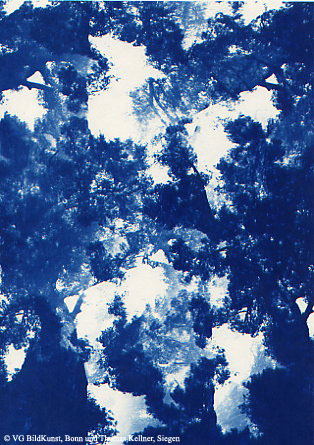 Thomas Kellner: Pinetrees 05, 1997, Cyanotype, 16,4x23,5 cm/6,4"x9,2", 10+3