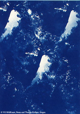 Thomas Kellner: Pinetrees 08, 1997, Cyanotype, 16,4x23,5 cm/6,4"x9,2", 10+3