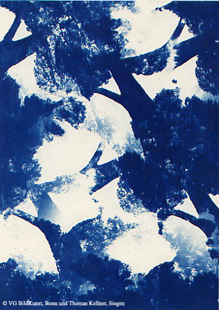 Thomas Kellner: Pinetrees 10, 1997, Cyanotype, 16,4x23,5 cm/6,4"x9,2", 10+3