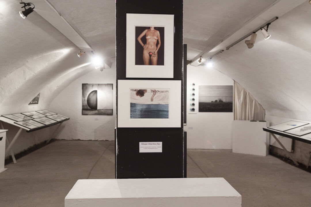 Ausstellung La galerie fait sa foire ... à Lyon 2017